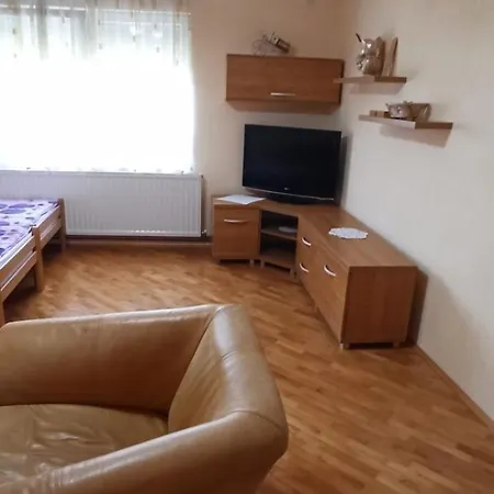 Nikola & Aleksa Vrnjacka Banja