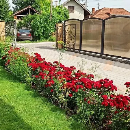 Nikola & Aleksa *